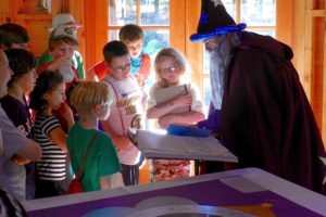 Wizard reading