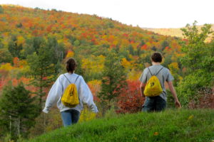Walking Toward The Woods